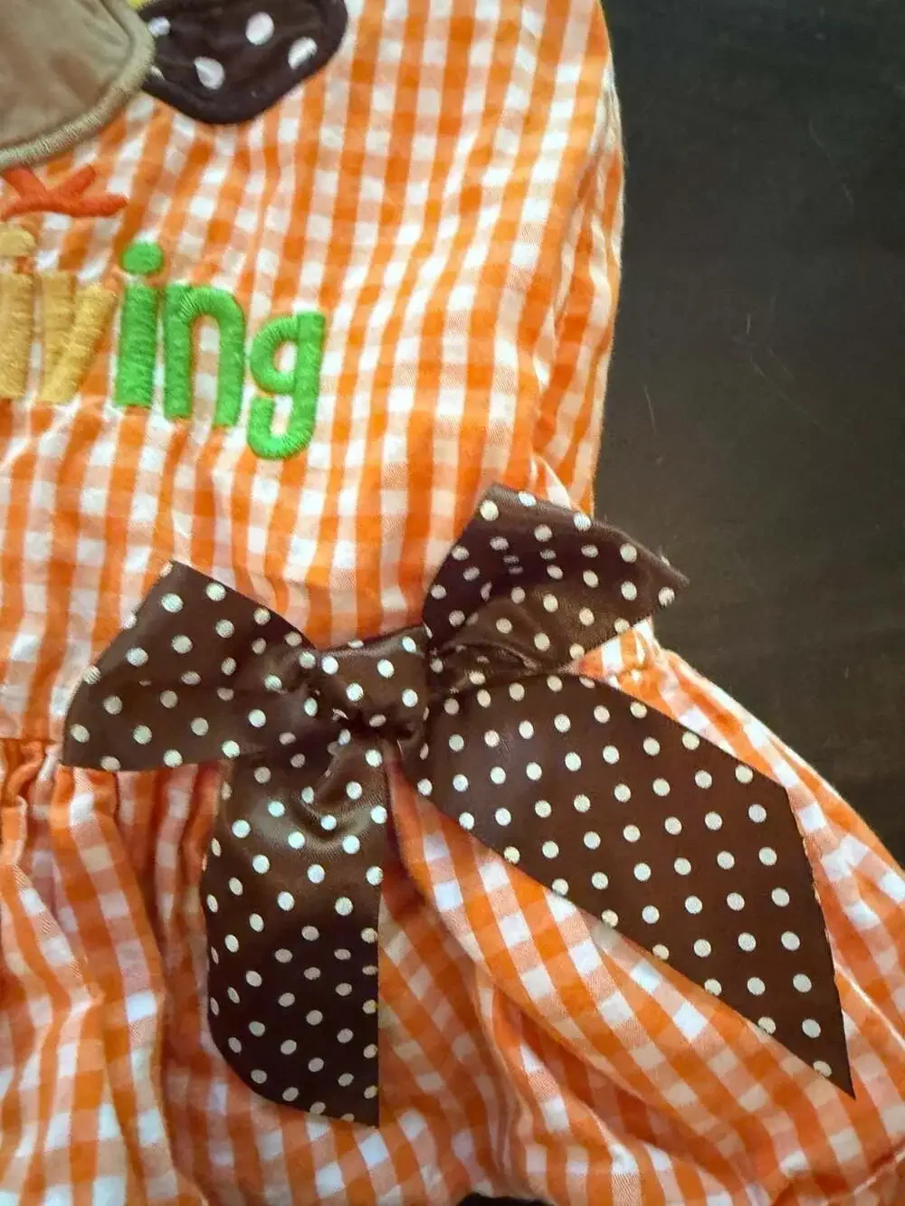 Lil Cactus Girls 1st Thanksgiving Turkey Applique Dress (6-12M)